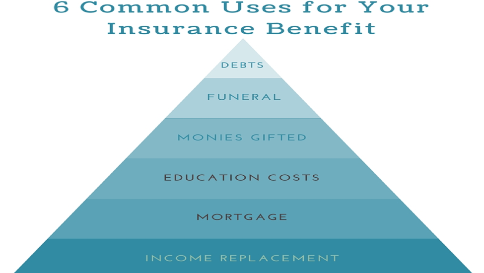 Insurance Uses – Life Offices Association